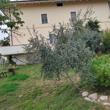 Casa Il Canto Tortoreto Kültér fotó