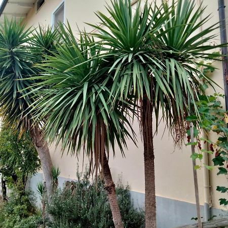 Casa Il Canto Tortoreto Kültér fotó