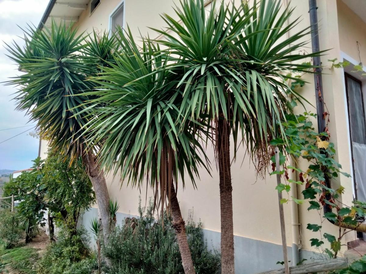 Casa Il Canto Tortoreto Kültér fotó
